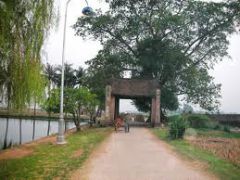 Cổng làng quê 3