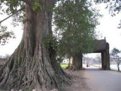 Cổng làng quê 6